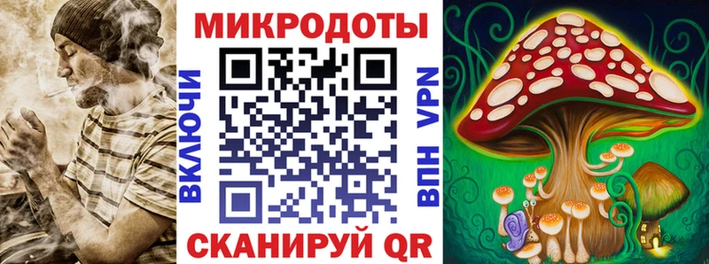 Купить закладки  Вольск  Галлюциногенные грибы мицелий 